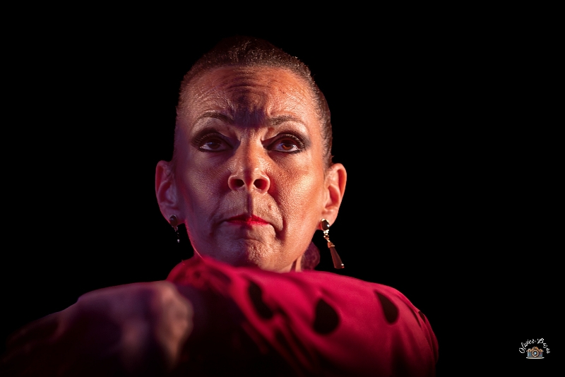 flamenco (91)